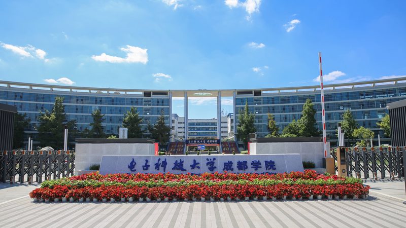 LED电子元件批发价格，揭秘其背后的市场逻辑
