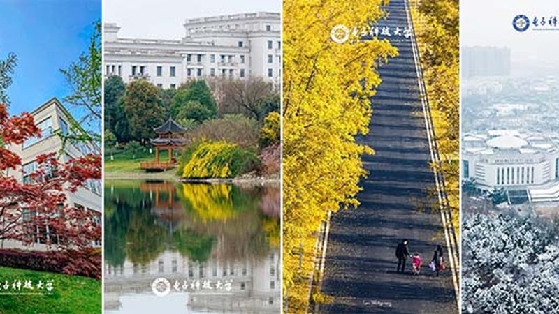 电子元器件回收比价：揭秘行业背后的秘密**